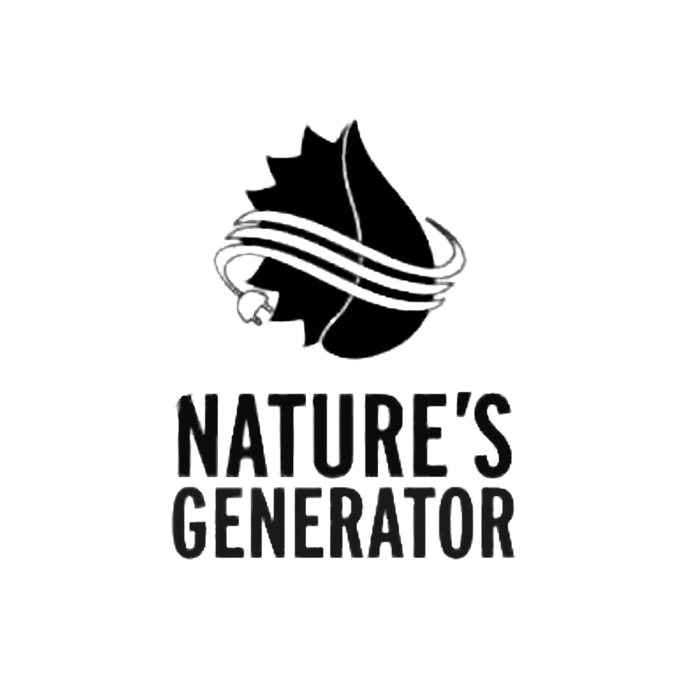 Nature's Generator