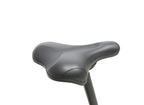 EPIK SWAN 2.0 | Foldable Step Through