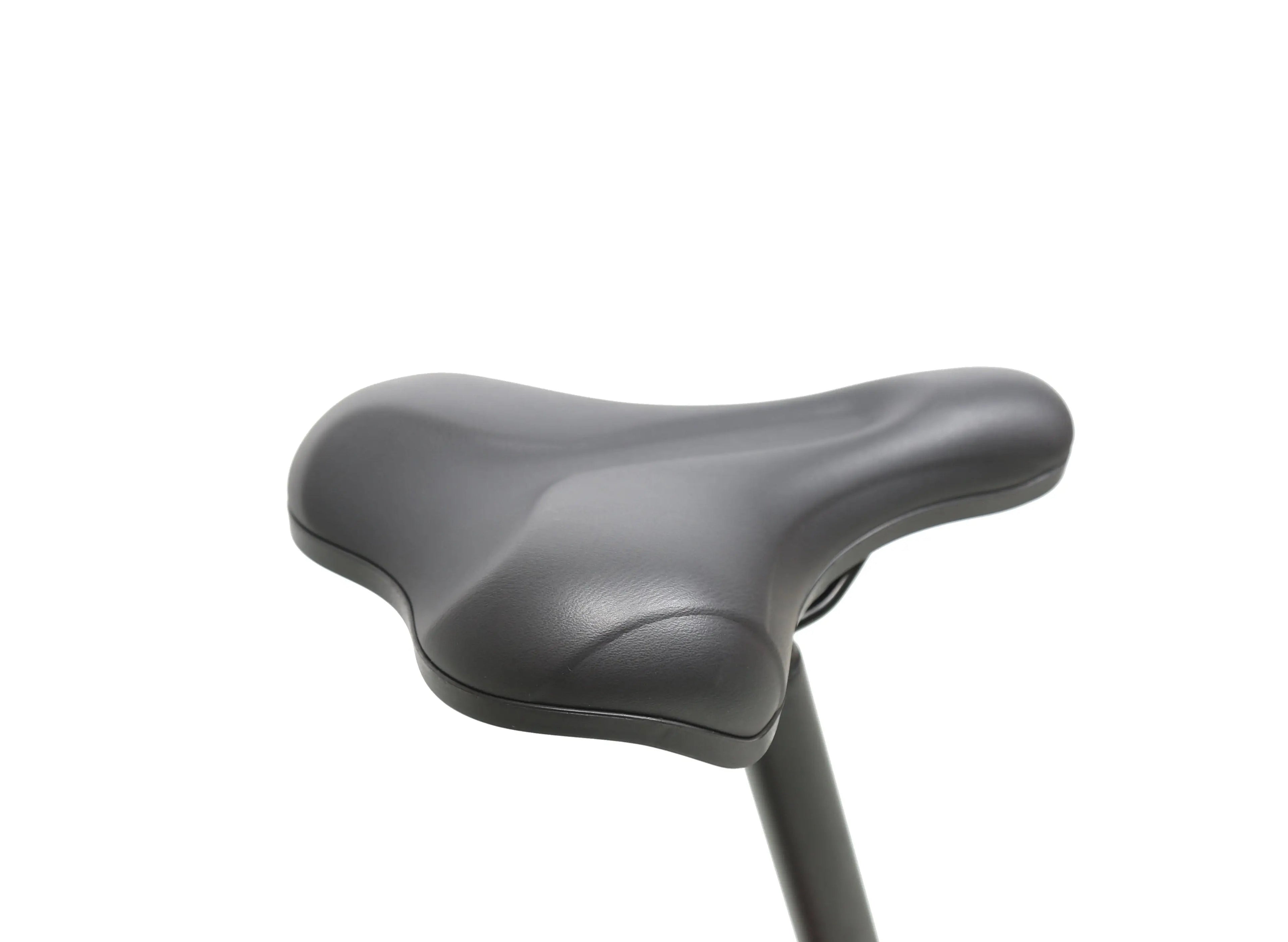 EPIK SWAN 2.0 | Foldable Step Through