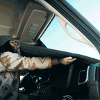 Mercedes Sprinter Stealth Front Windshield Cover