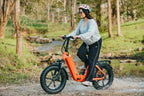 E-Flow | Young Electric Foldable