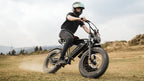 CEMOTO EB66 | 750W double battery Harley-Like Hi-Tech Ebike