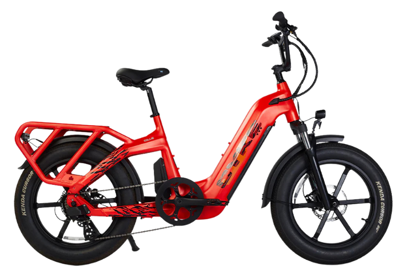 COLLIE CARGO | Fat Tire
