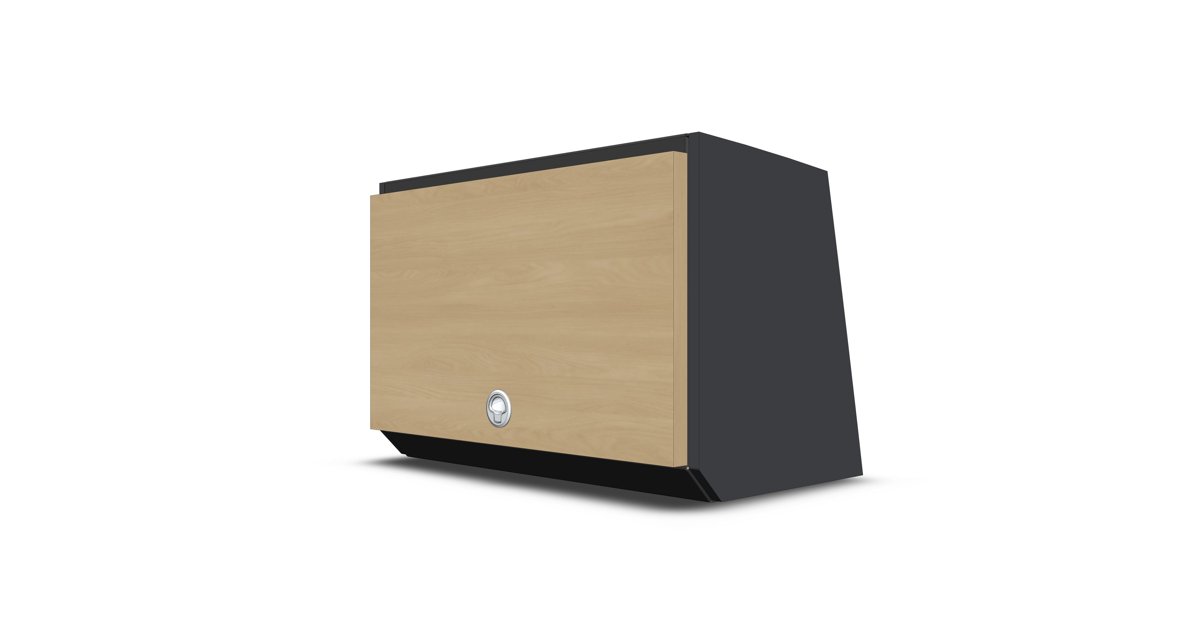 PROMASTER ASCENT CABINET 22"