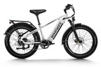 D5 Zebra | All-terrain, Fat Tire