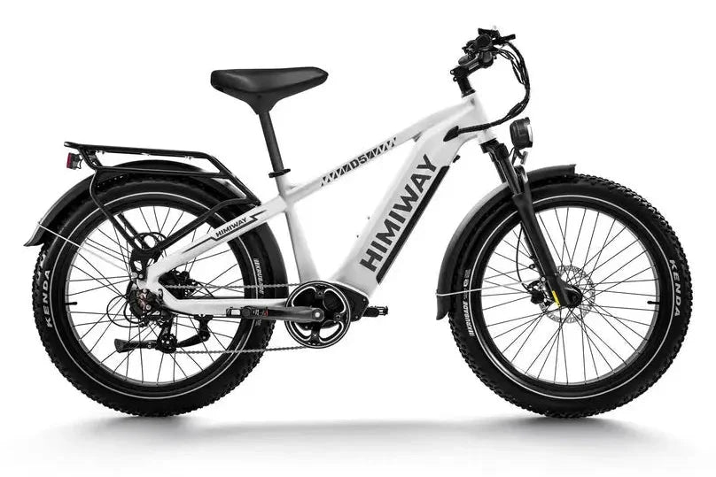 D5 Zebra | All-terrain, Fat Tire