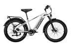 D5 Zebra | All-terrain, Fat Tire