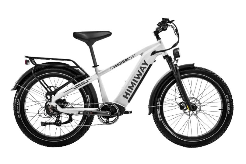 D5 Zebra | All-terrain, Fat Tire