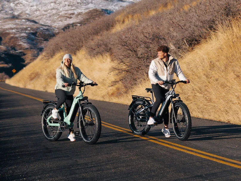 D5 Zebra | All-terrain, Fat Tire