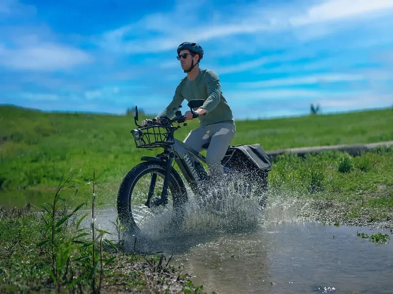 D5 Zebra | All-terrain, Fat Tire