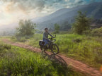 D5 Zebra | All-terrain, Fat Tire