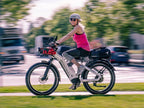 D5 Zebra | All-terrain, Fat Tire