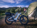 D5 Zebra | All-terrain, Fat Tire