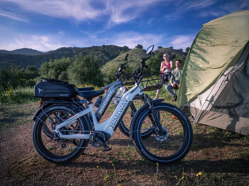 D5 Zebra | All-terrain, Fat Tire