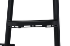 Sprinter Two-in-one Tire Ladder Carrier