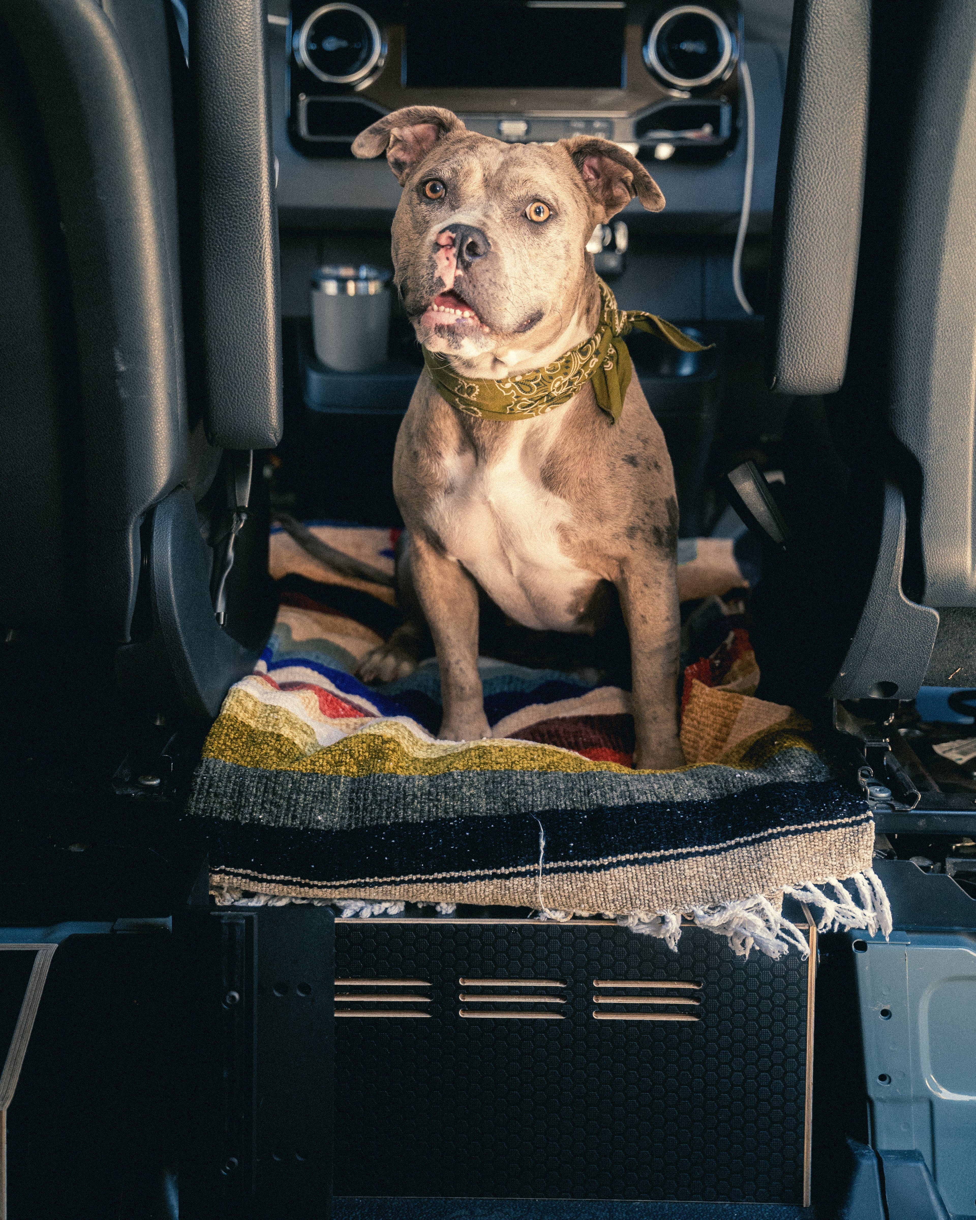 Sprinter Van Center Console Platform (Electronic E-Brake)