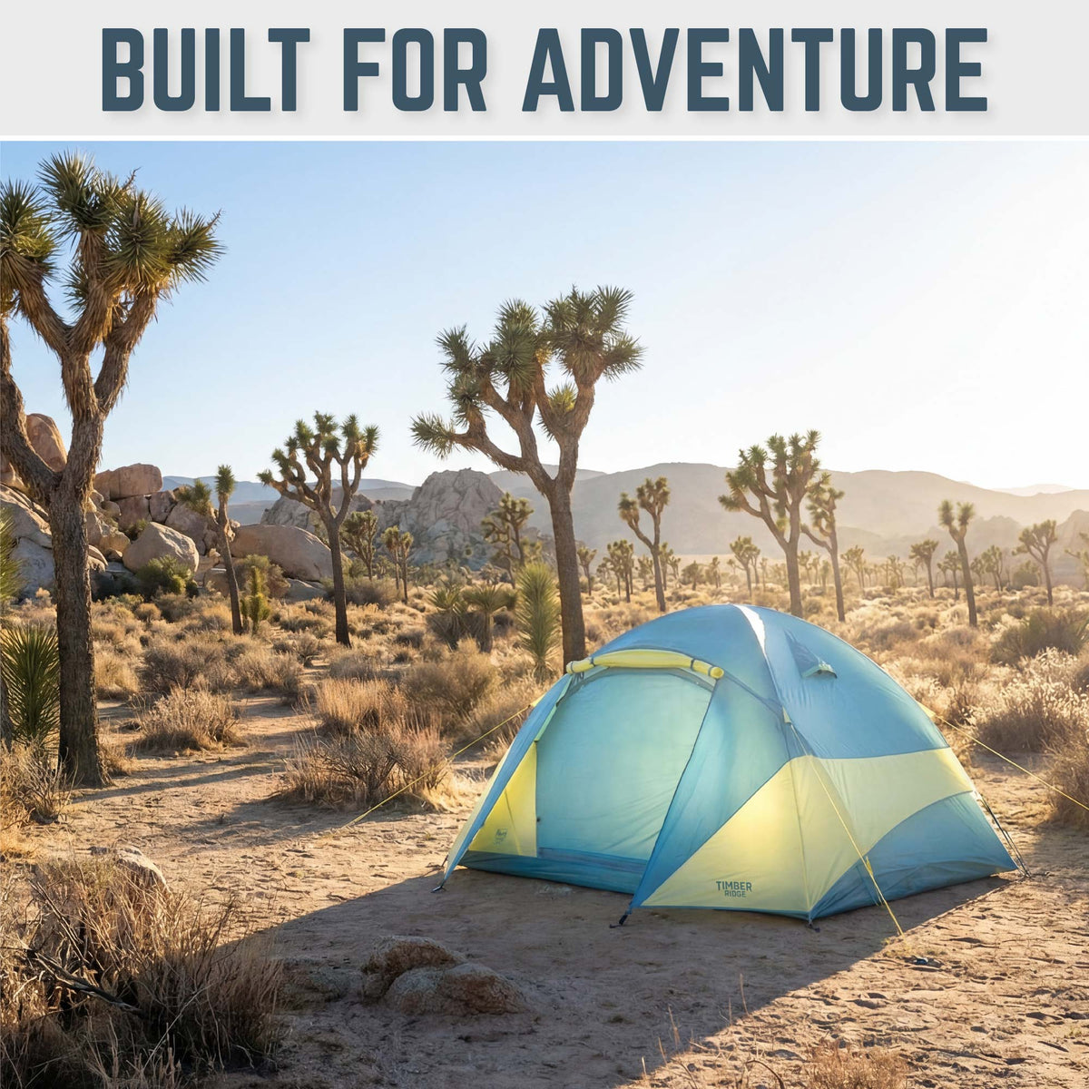 LUMOS™ 6P TENT
