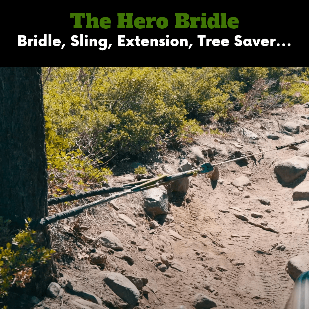 Hero Bridle