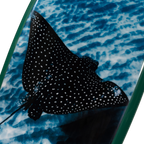 Flying Solo by Henry Bliss – Limited Edition Surfboard Art