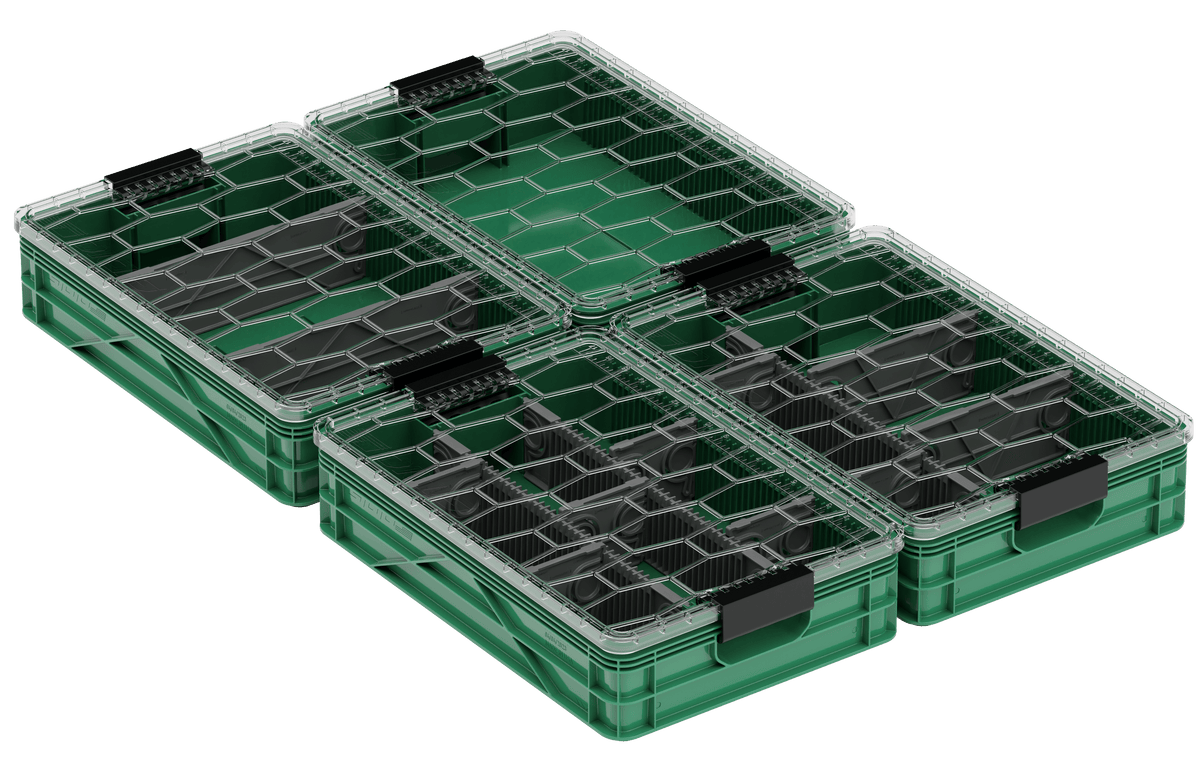 Quarter Crate 4 Pack