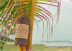 PALMETTO 100% Recycled Surfboard Socks | Sustainable Surfboard Covers – SHRED Surf Company