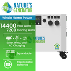 Powerhouse V2 Whole Home Generator