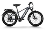 D5 Zebra | All-terrain, Fat Tire