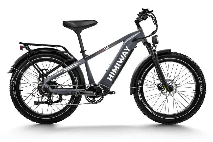 D5 Zebra | All-terrain, Fat Tire