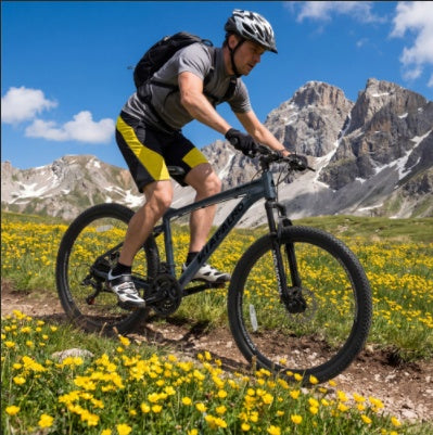 26" AllTrail Adult Mountain Bike | 21-Speed Hardtail (Black)