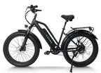 CEMOTO EBIKE AEB31A | City Commuter e-bikes