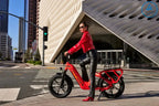 COLLIE CARGO | Fat Tire