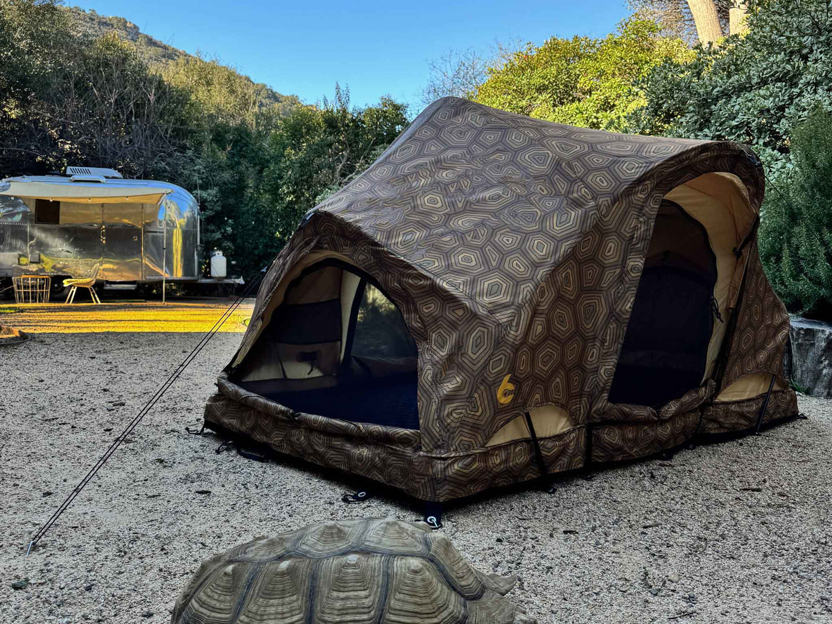REV ROOFTOP TENT X (shellter)